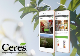 Ceres SA Website