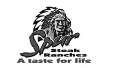 Spur logo