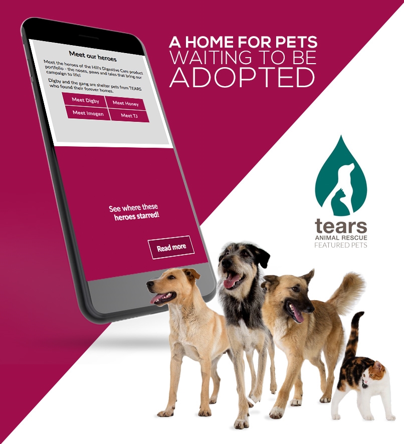 Hills-Hero-Pets-Webpage