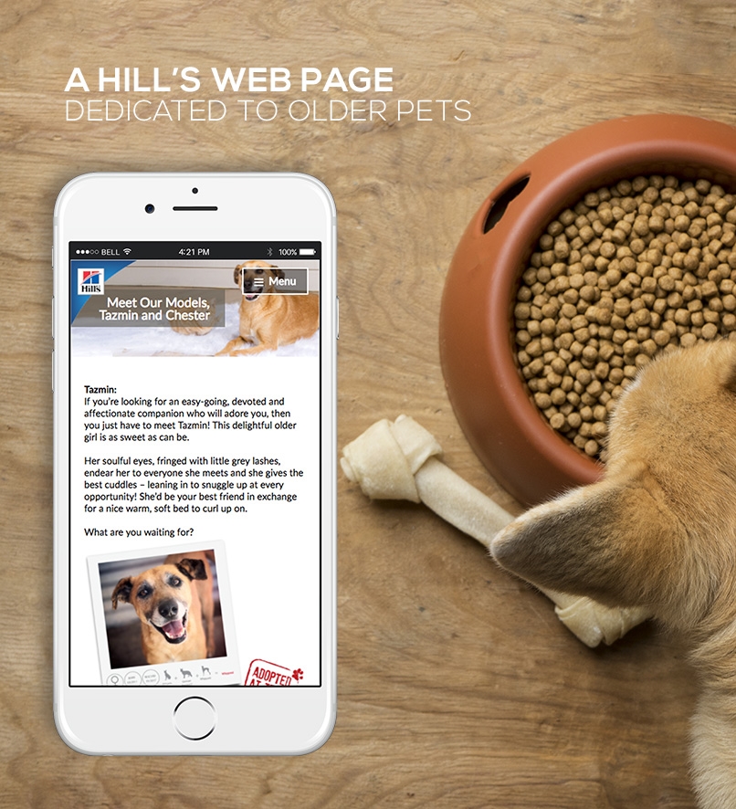 Hills-Senior-Pets-Webpage